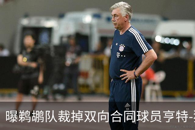 曝鹈鹕队裁掉双向合同球员亨特-狄金森